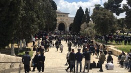 Israel Memanfaatkan Lockdown untuk Mengontrol Masjid al-Aqsa
