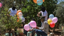 Bela Al-Aqsa, Warga Gaza Luncurkan Balon Pembakar ke Permukiman Ilegal Israel 