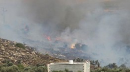 Pemukim ilegal Israel bakar 1000 pohon zaitun milik warga Palestina Neblus