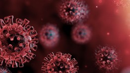 Kementerian Kesehatan Israel Umumkan Munculnya Mutasi Baru Virus Corona 