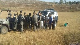 Tentara Israel larang warga Jalud memanen hasil tani