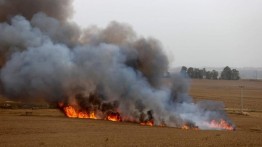 Kebakaran Akibat Balon Pembakar Gaza Terjadi di Eshkol 
