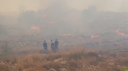 Akibat gelombang panas, sejumlah lahan di Palestina dilahap api