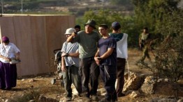Musim Zaitun Palestina dan Kebiadaban Pemukim Israel di Tepi Barat