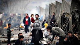 Laporan: 7.500 Pengungsi Palestina Dipindahkan di Kamp-kamp Sederhana di Suriah Utara