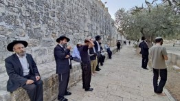 Pemukim Israel Lakukan Salat Talmud di Gerbang Al-Aqsha