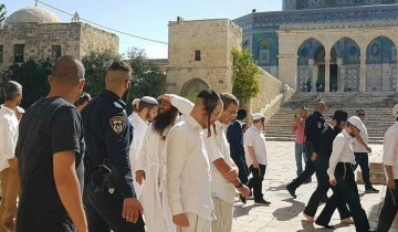 Pemukim Israel tingkatkan serbuan ke Masjid Al-Aqsa selama hari raya Yahudi