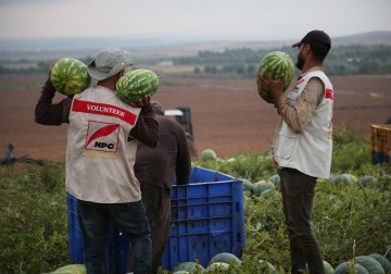 PEMBERDAYAAN PETANI DI GAZA PALESTINA, membeli hasil panen buah Semangka. Selanjutnya buah Semangka dibeli dari petani di Gaza, dibagikan secara gratis ke kaum dhuafa, para pengungsi dan anak Yatim.
